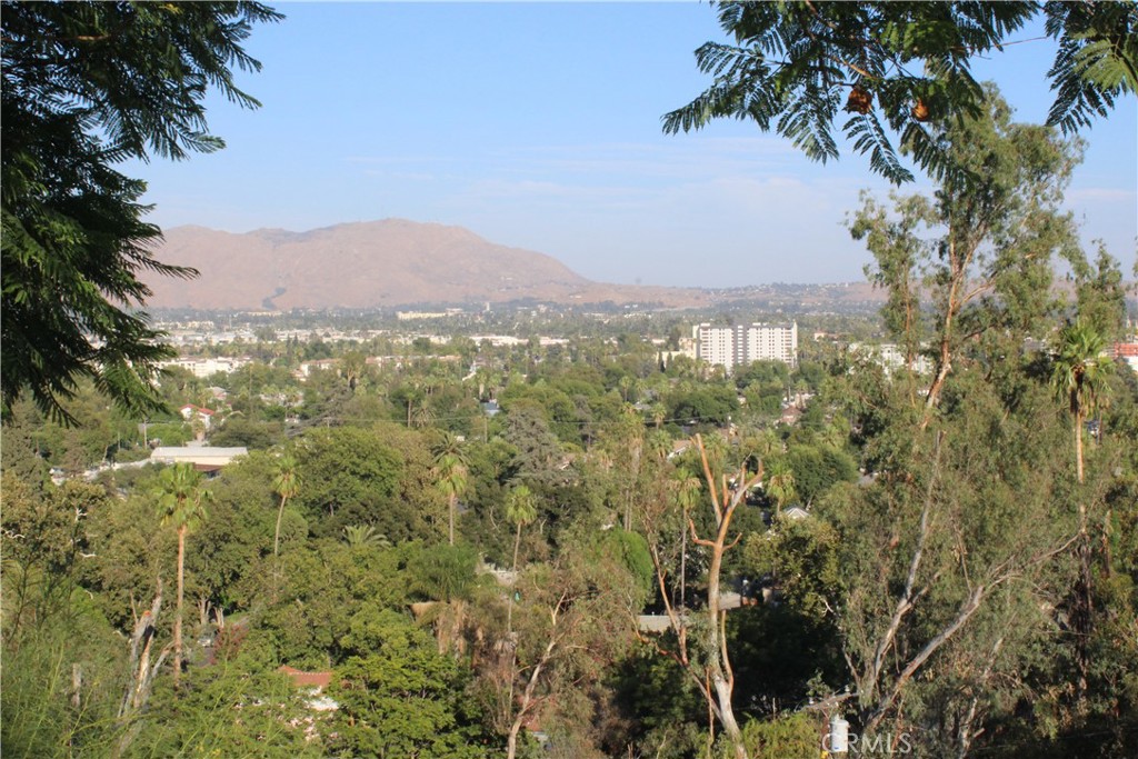 a view of a city with lush green forest