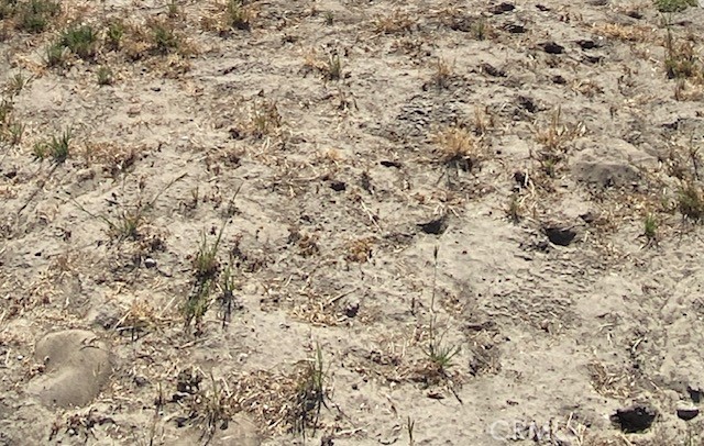 a close up of a wall with a dry yard