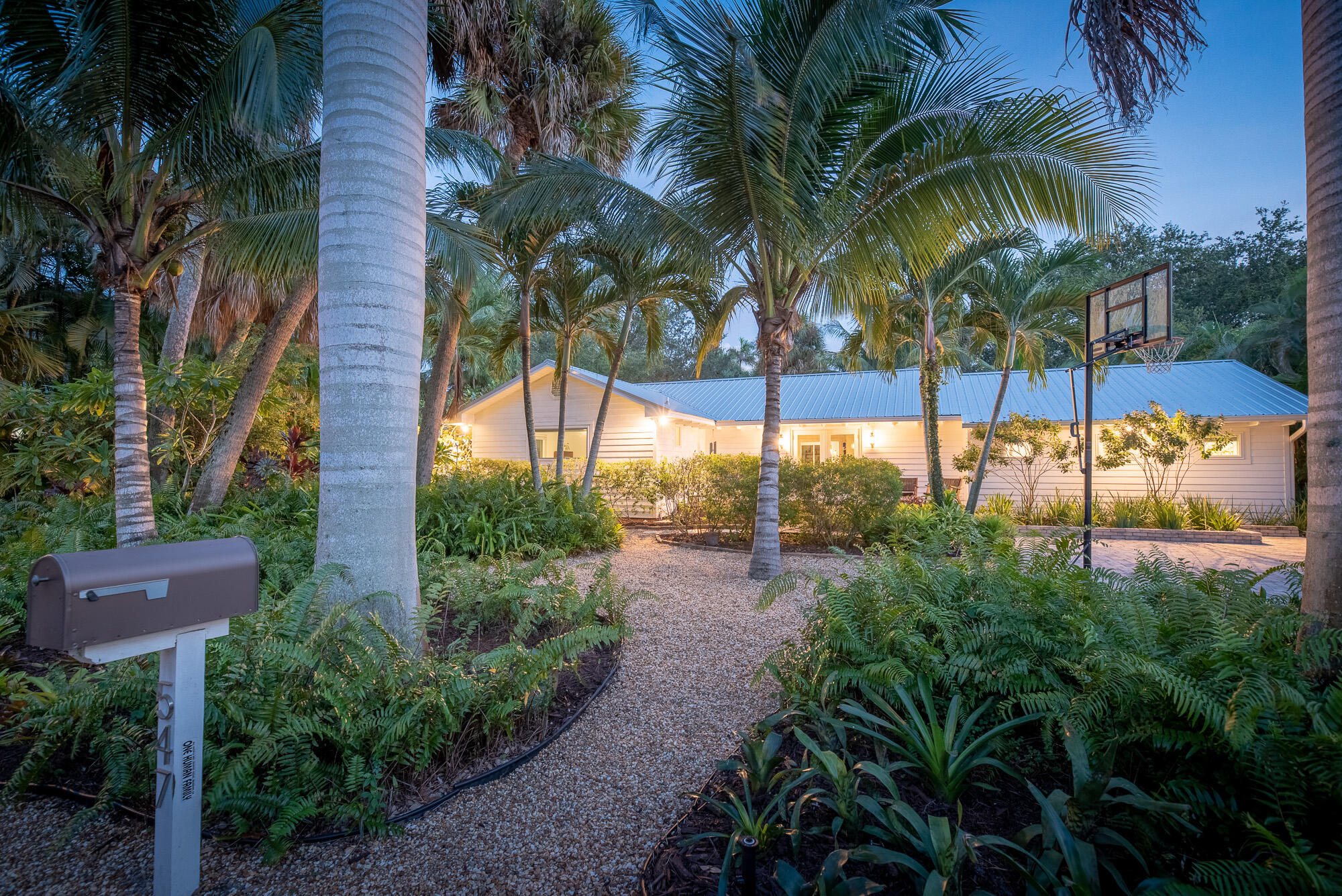 a view of a backyard