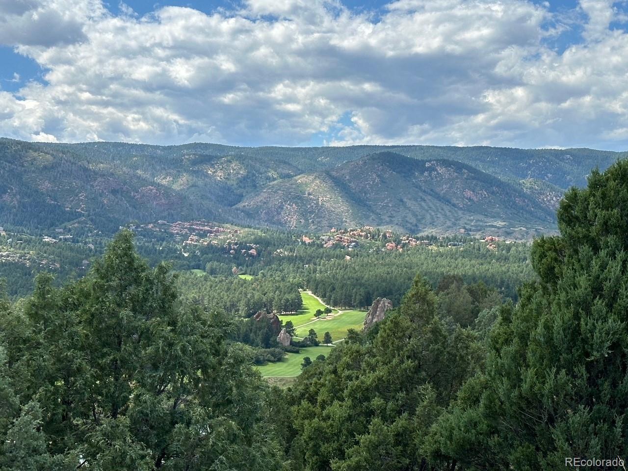 a view of a lake in middle of forest