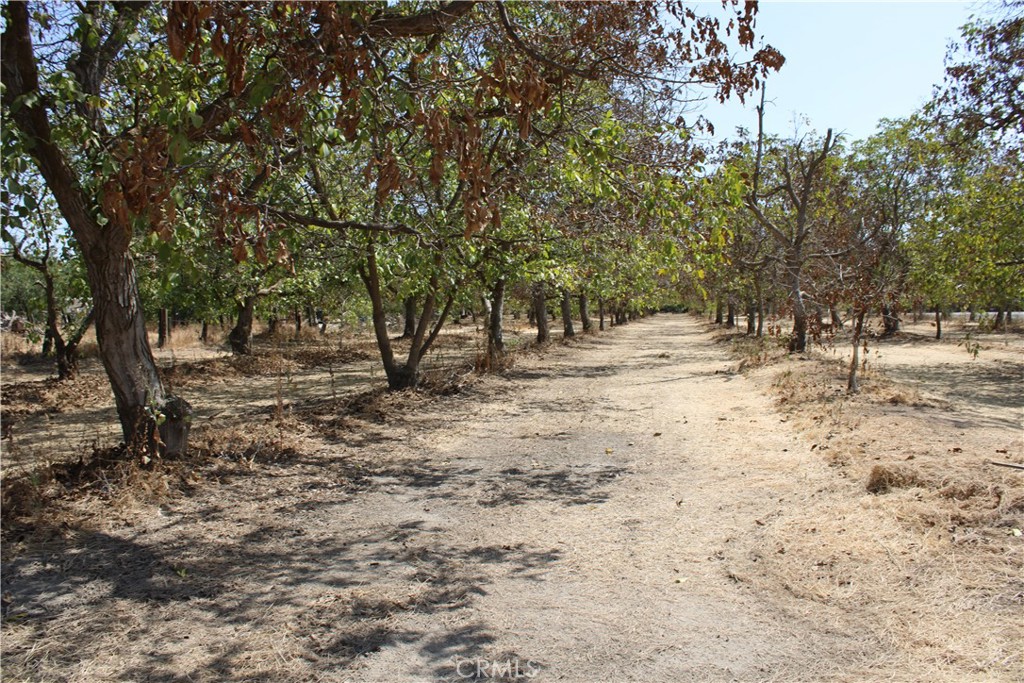 a view of road and trees