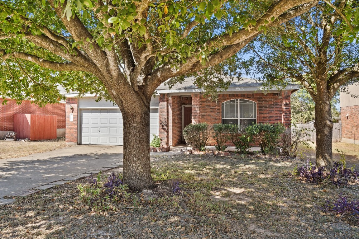 a house with trees in front of it