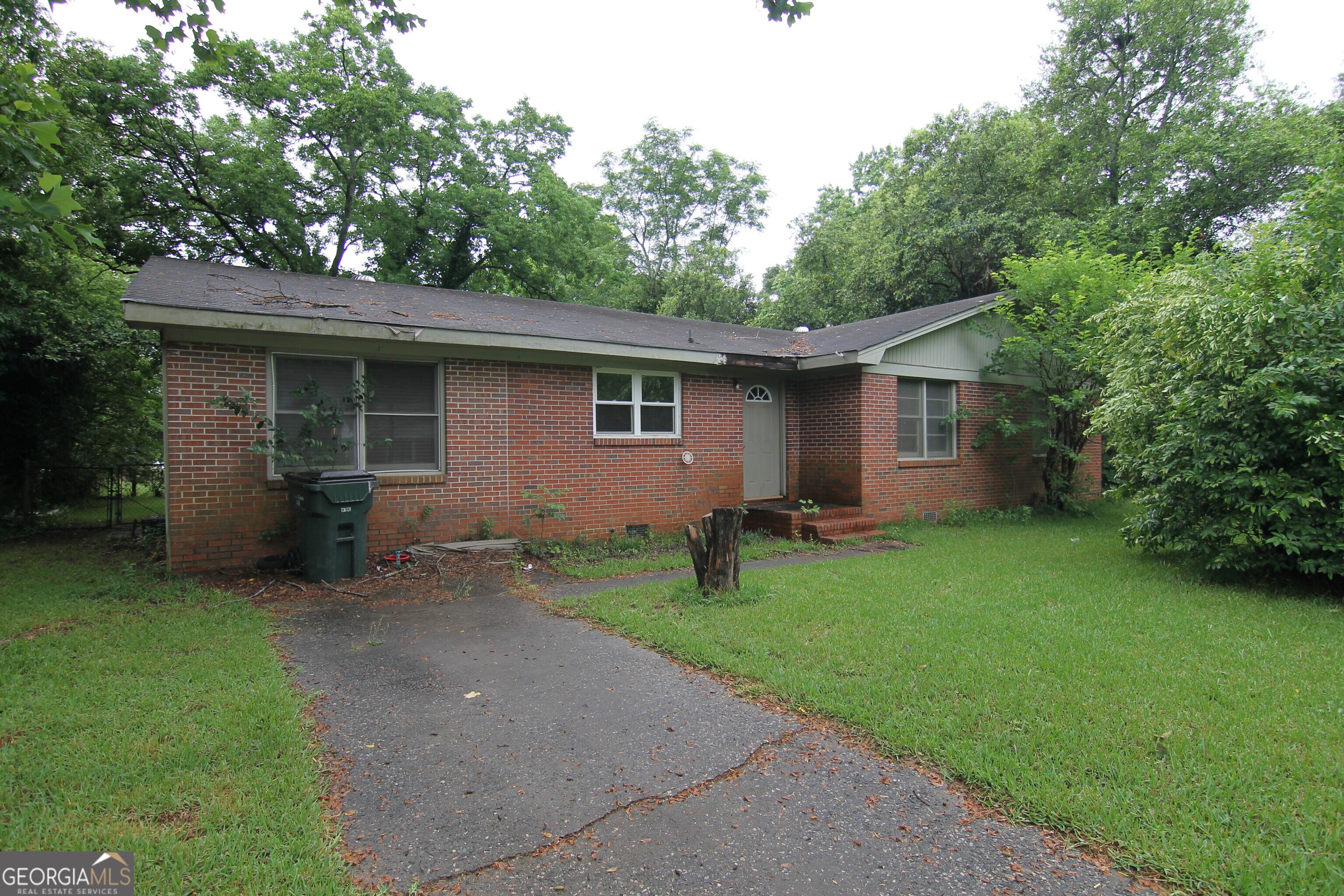 a view of a backyard with plants and large tree