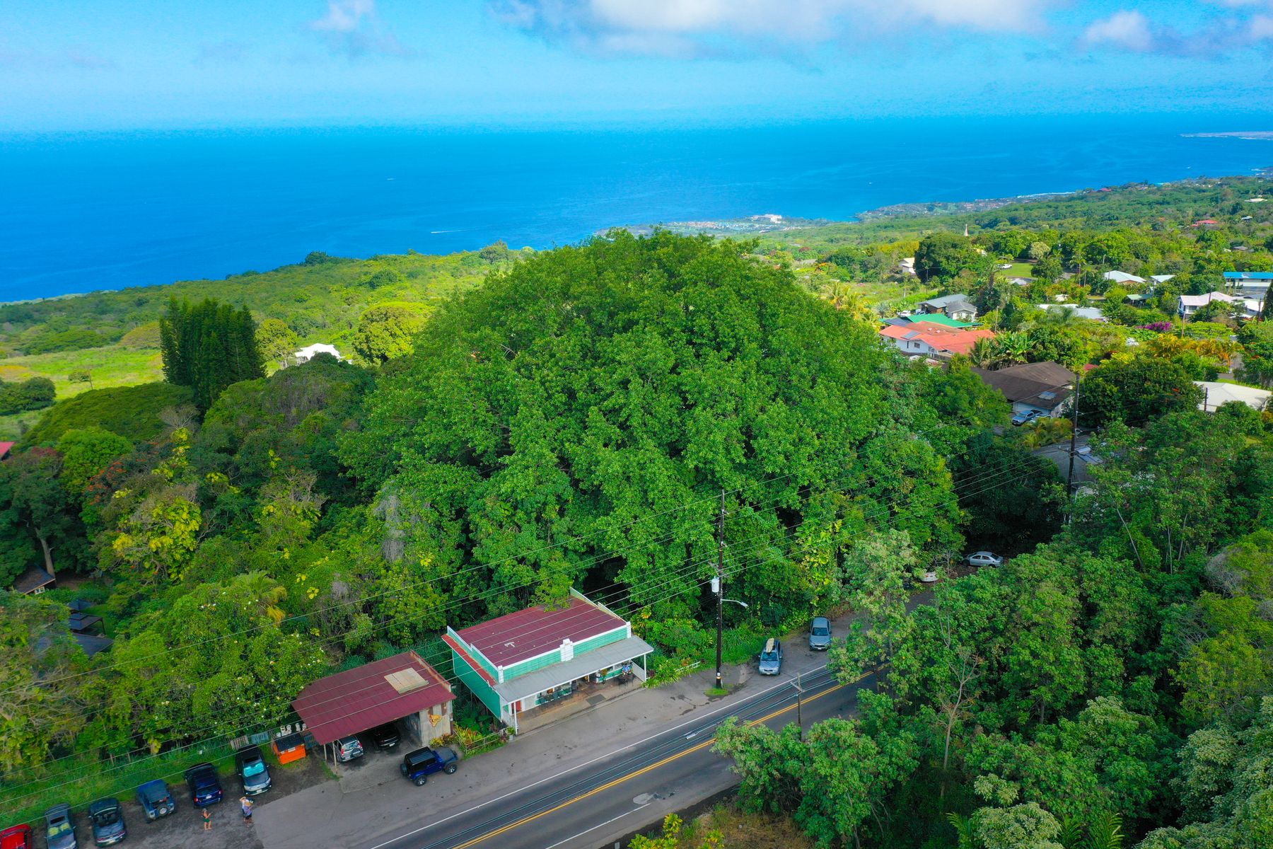 a view of a yard with an ocean view