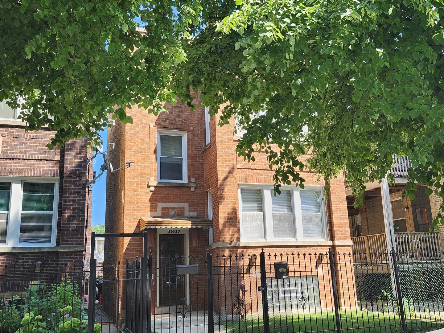 front view of a house with a tree