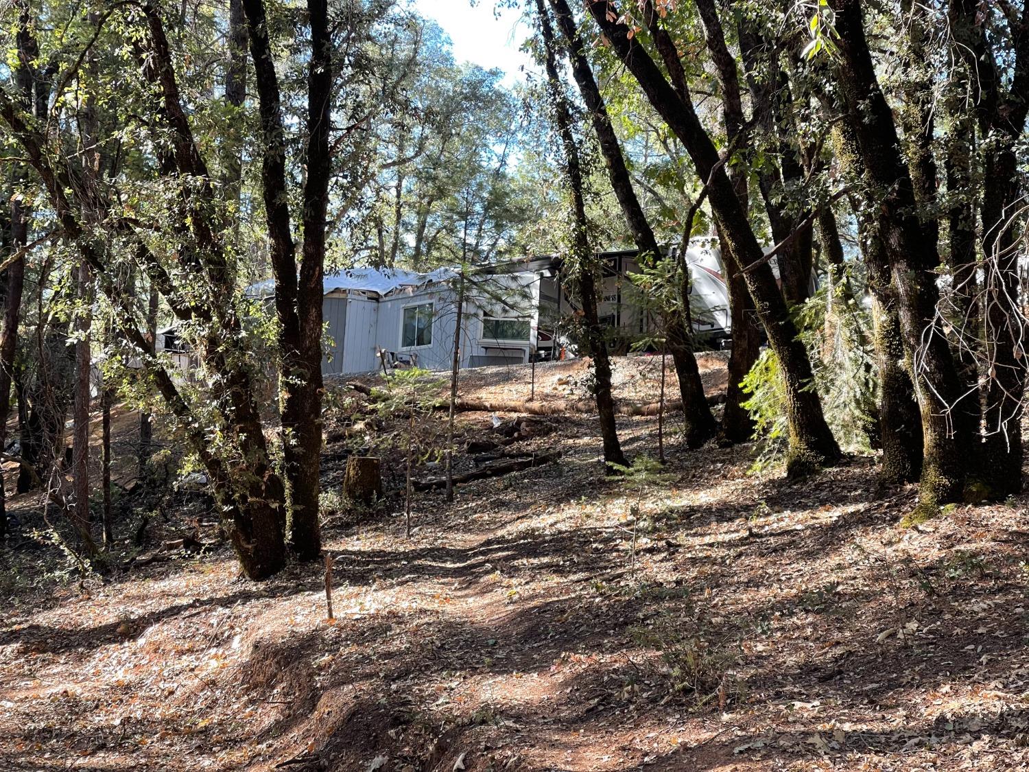 a view of a outdoor space with trees