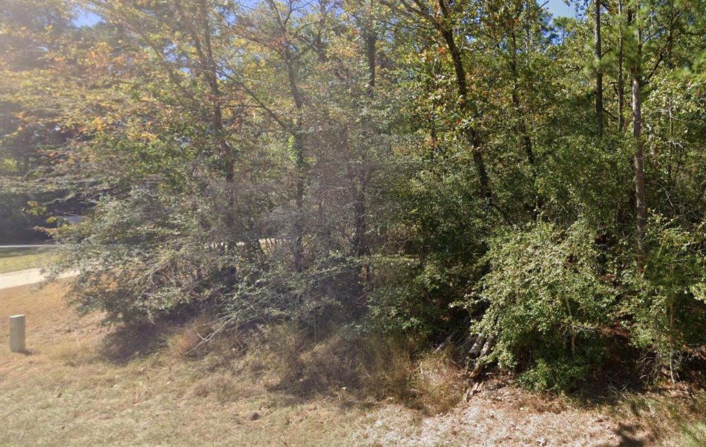 a view of a yard with a tree