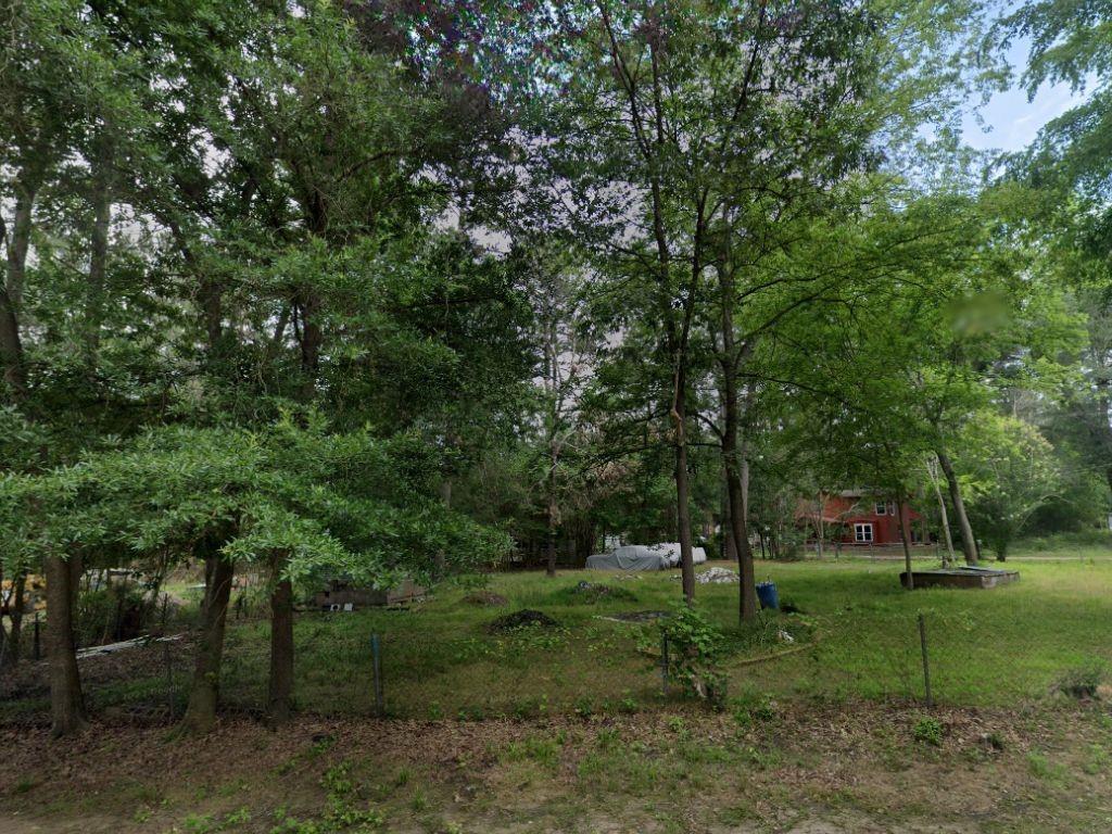 a view of a park with large trees