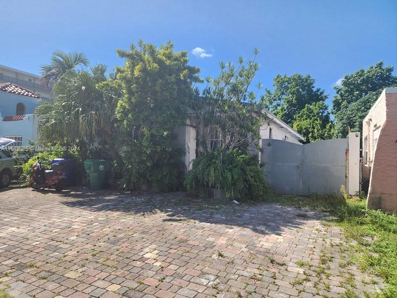 a view of a backyard with plants and a large tree