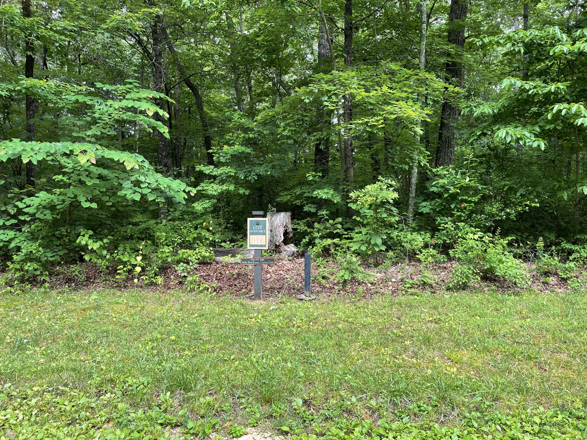 a fire hydrant in the middle of a field