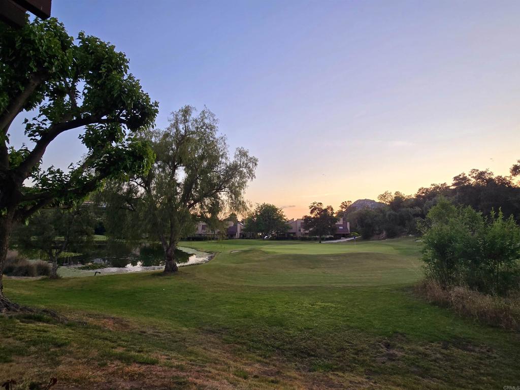 a view of a field with a tree in the background