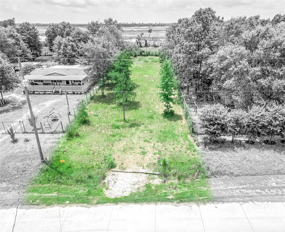 a view of a garden with a bench