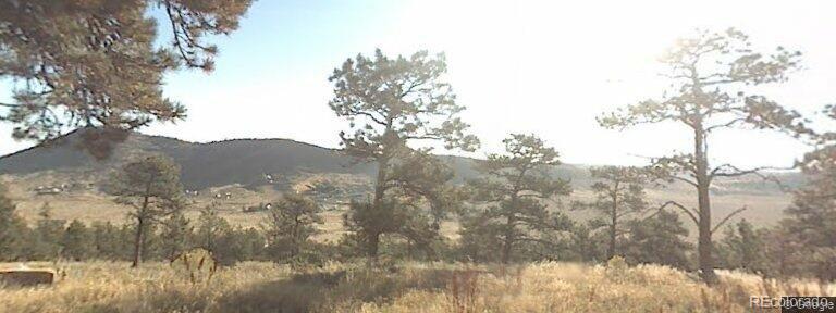 a view of mountain view with lots of trees