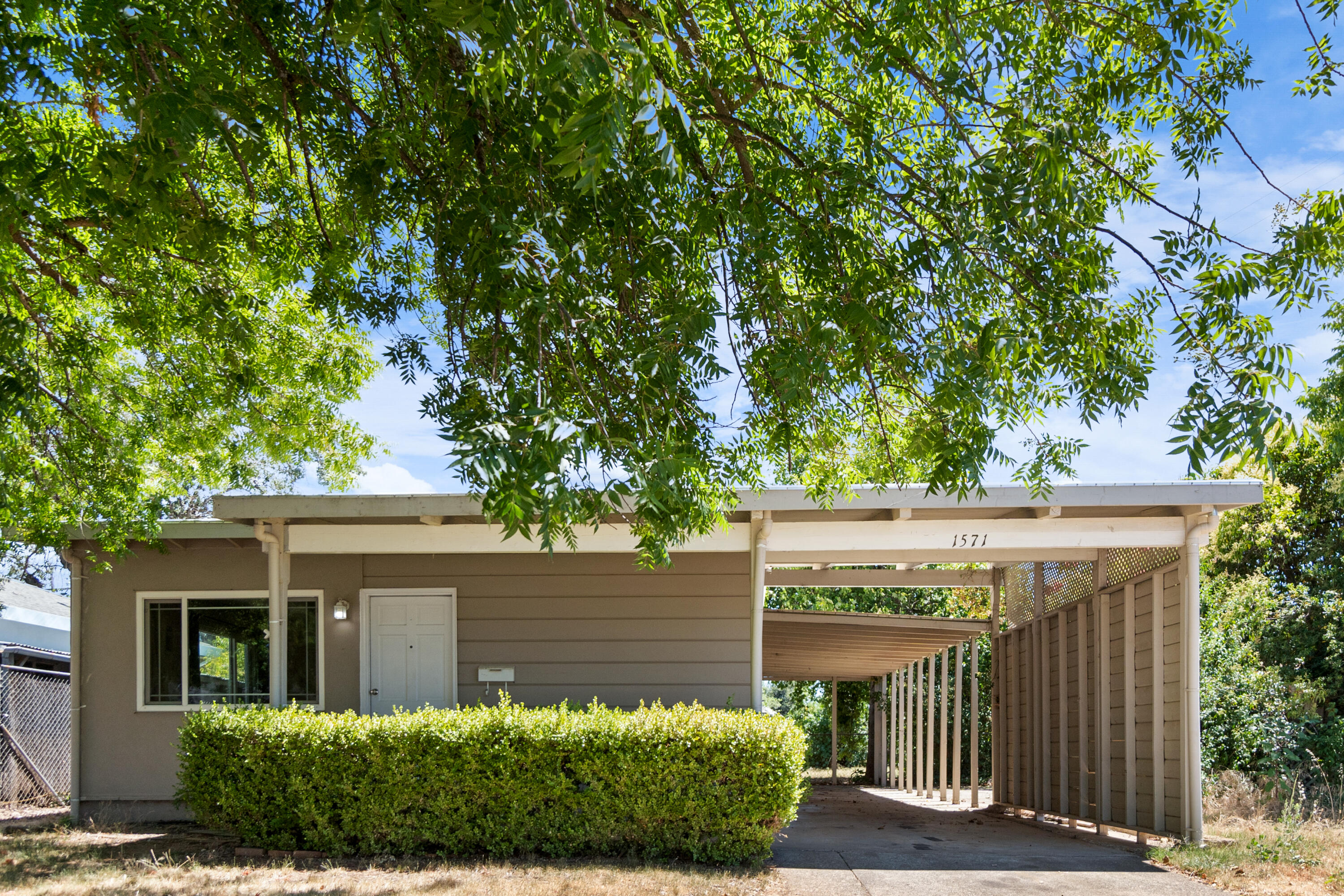 front view of a house with a tree