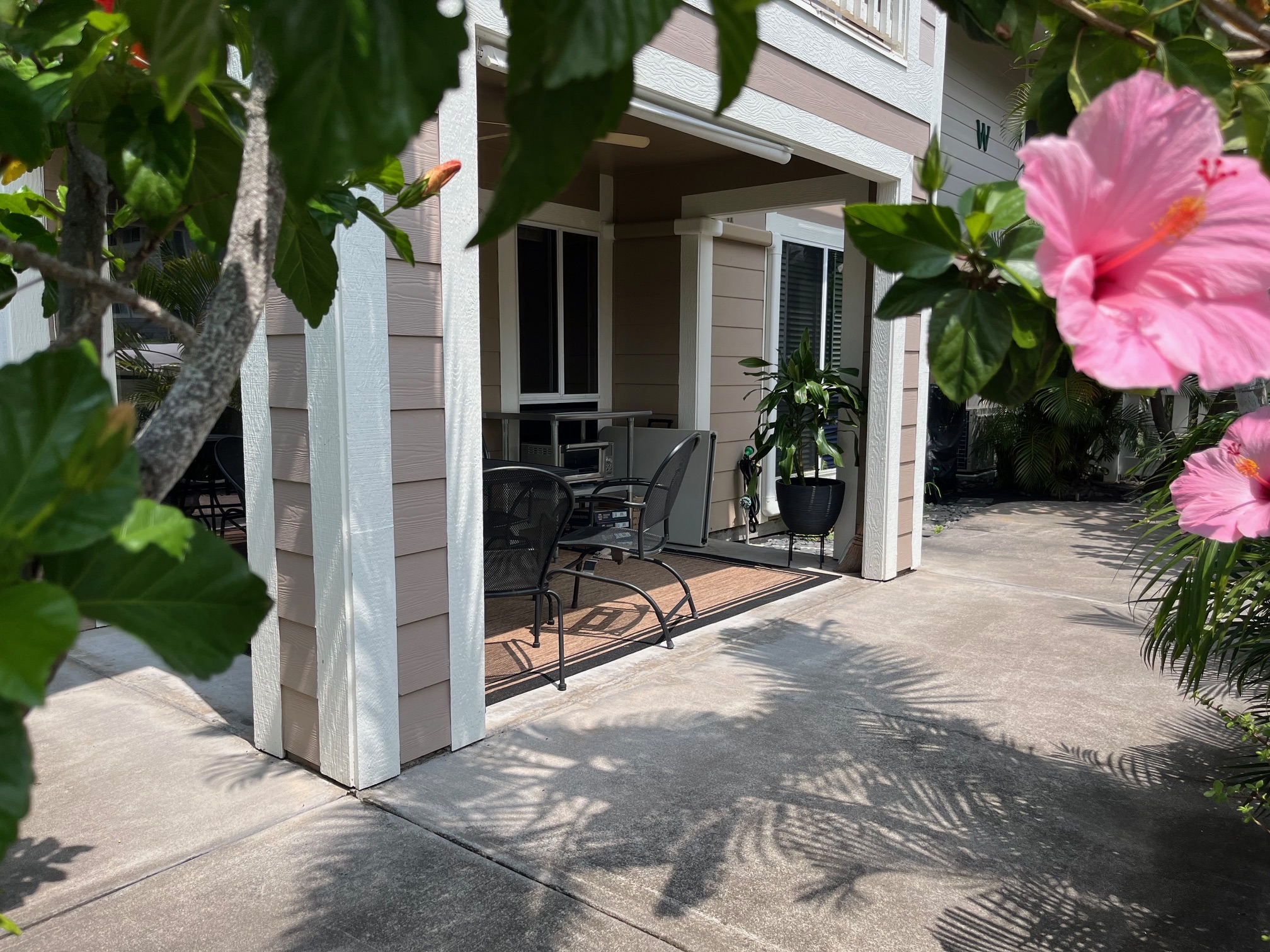 a view of a house with a yard and potted plants