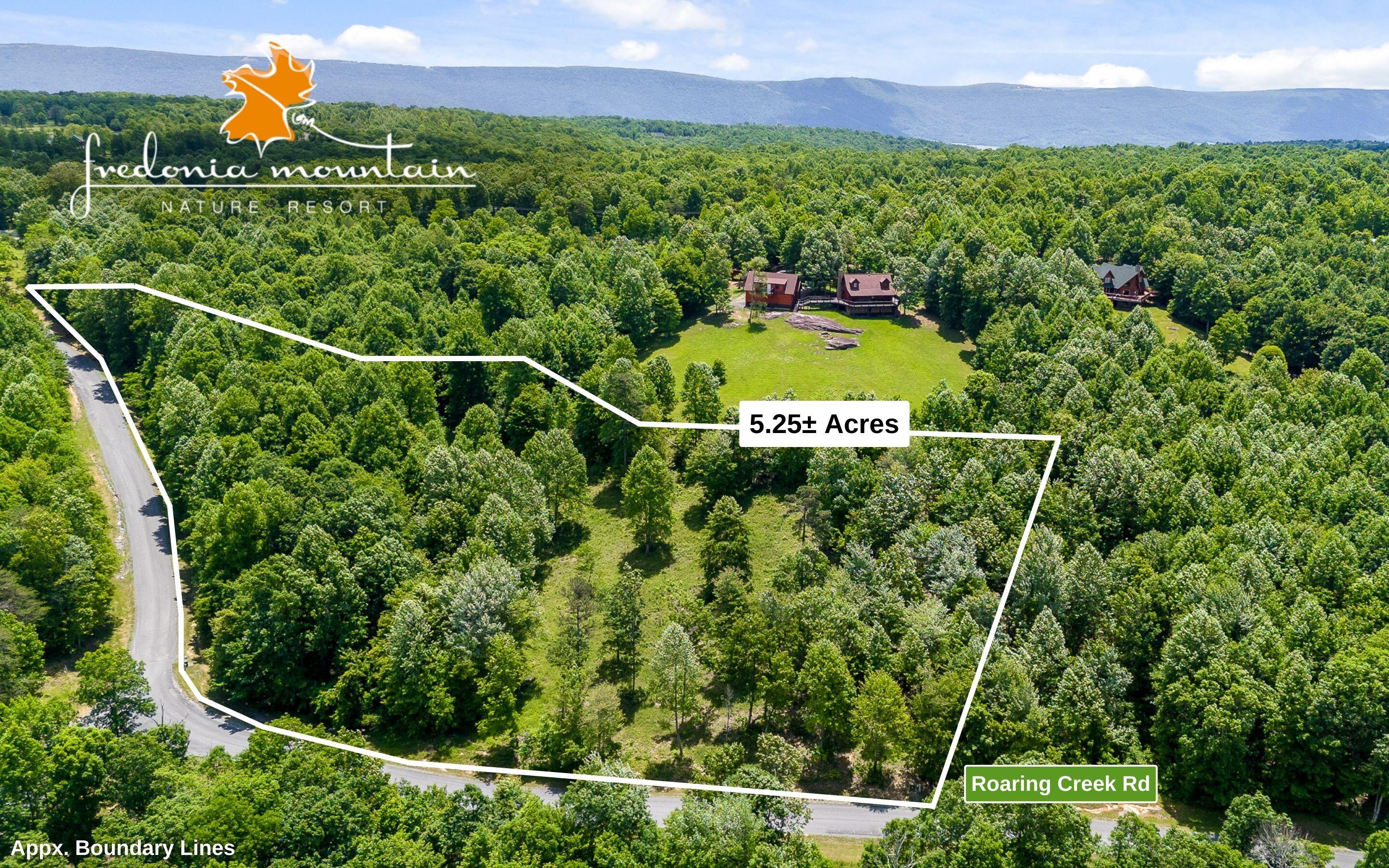 Lot 252 Roaring Creek Road