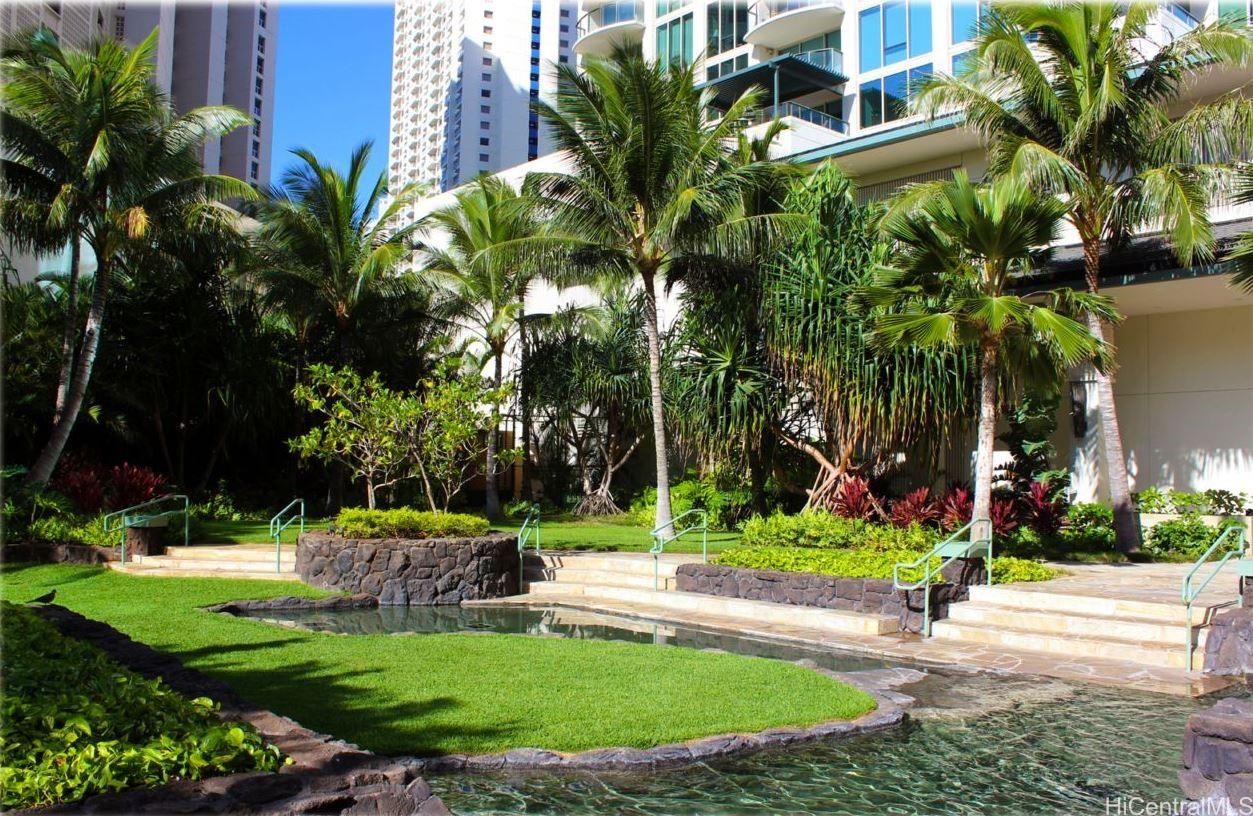 a garden with palm trees