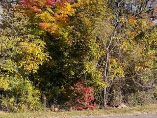 $8,000 | 0 Harvey Street | Rocky Mount