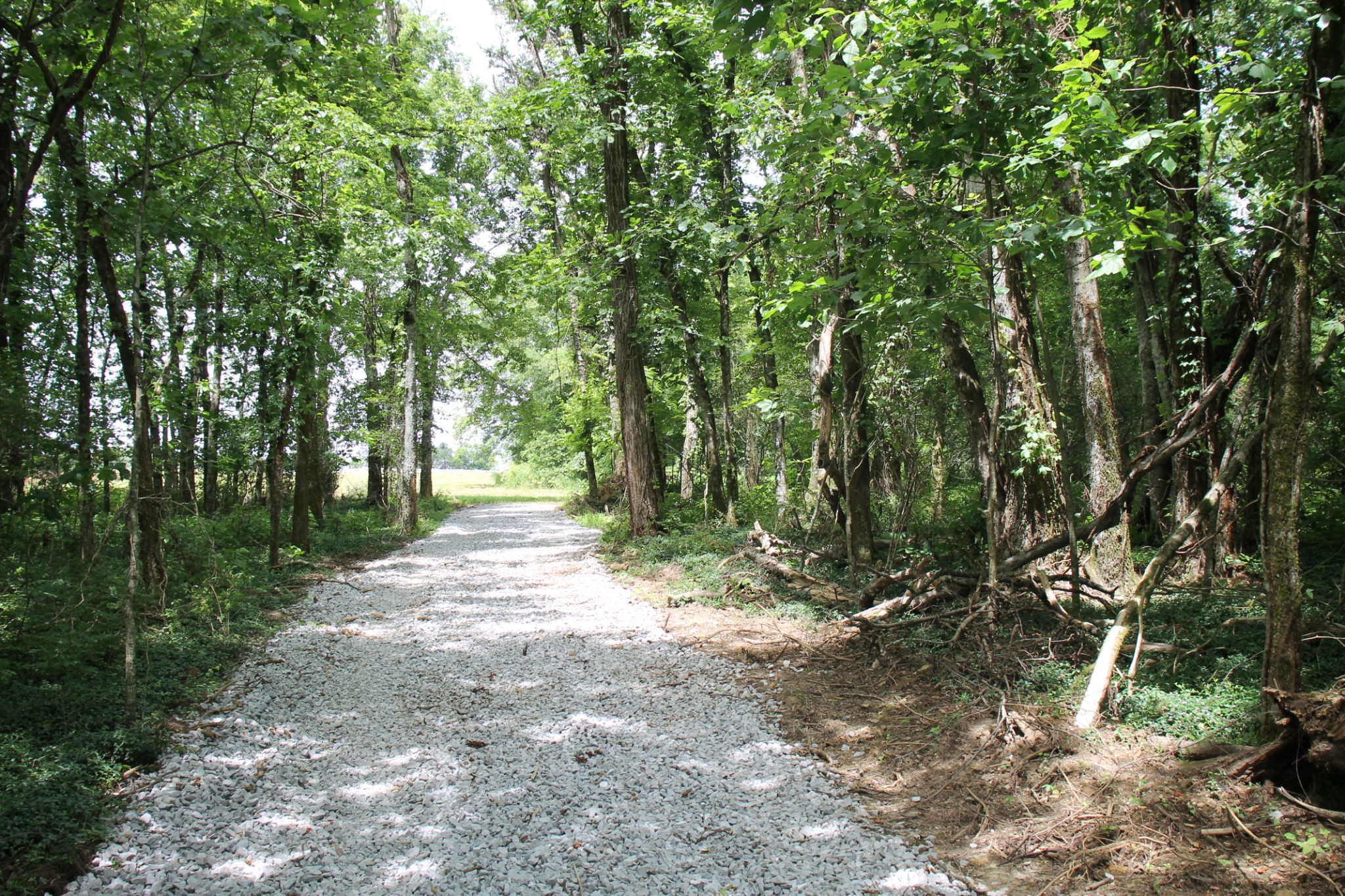 a view of outdoor space and trees