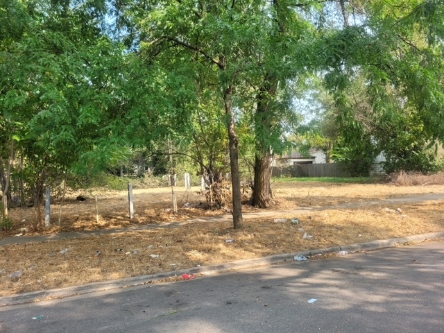 a view of yard with tree