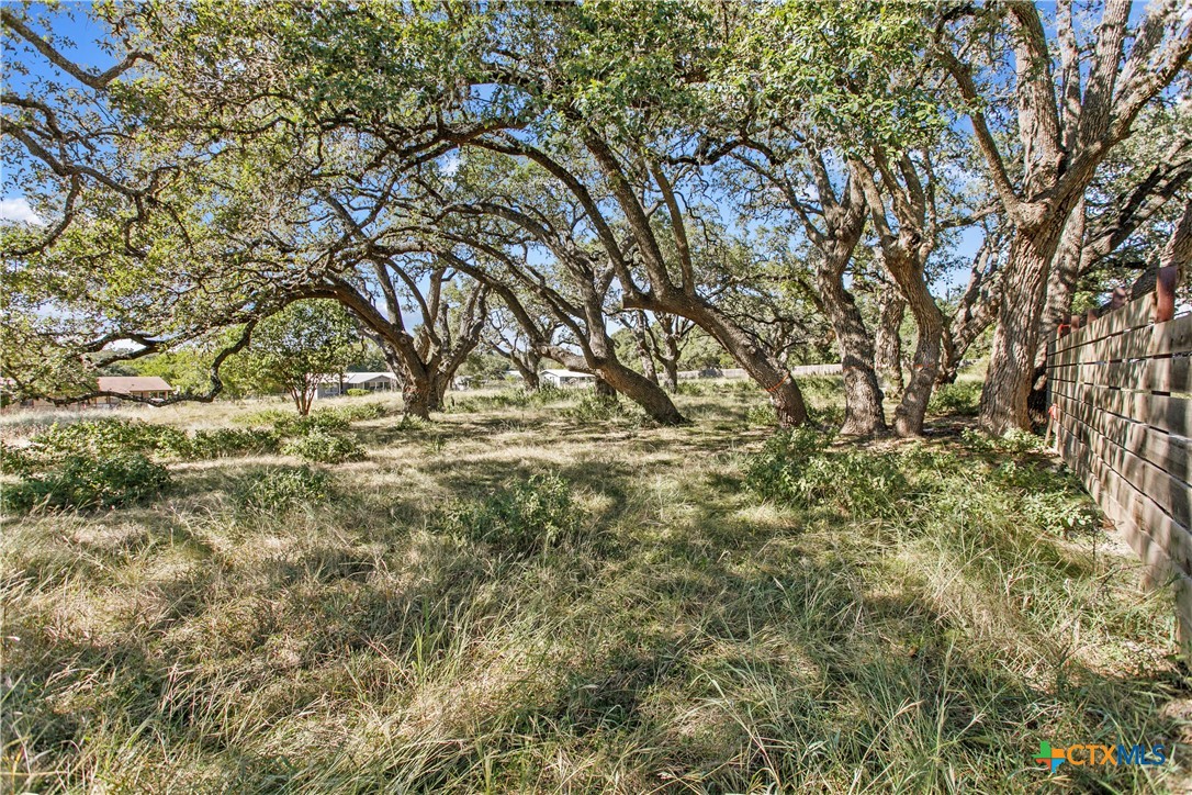 a view of yard