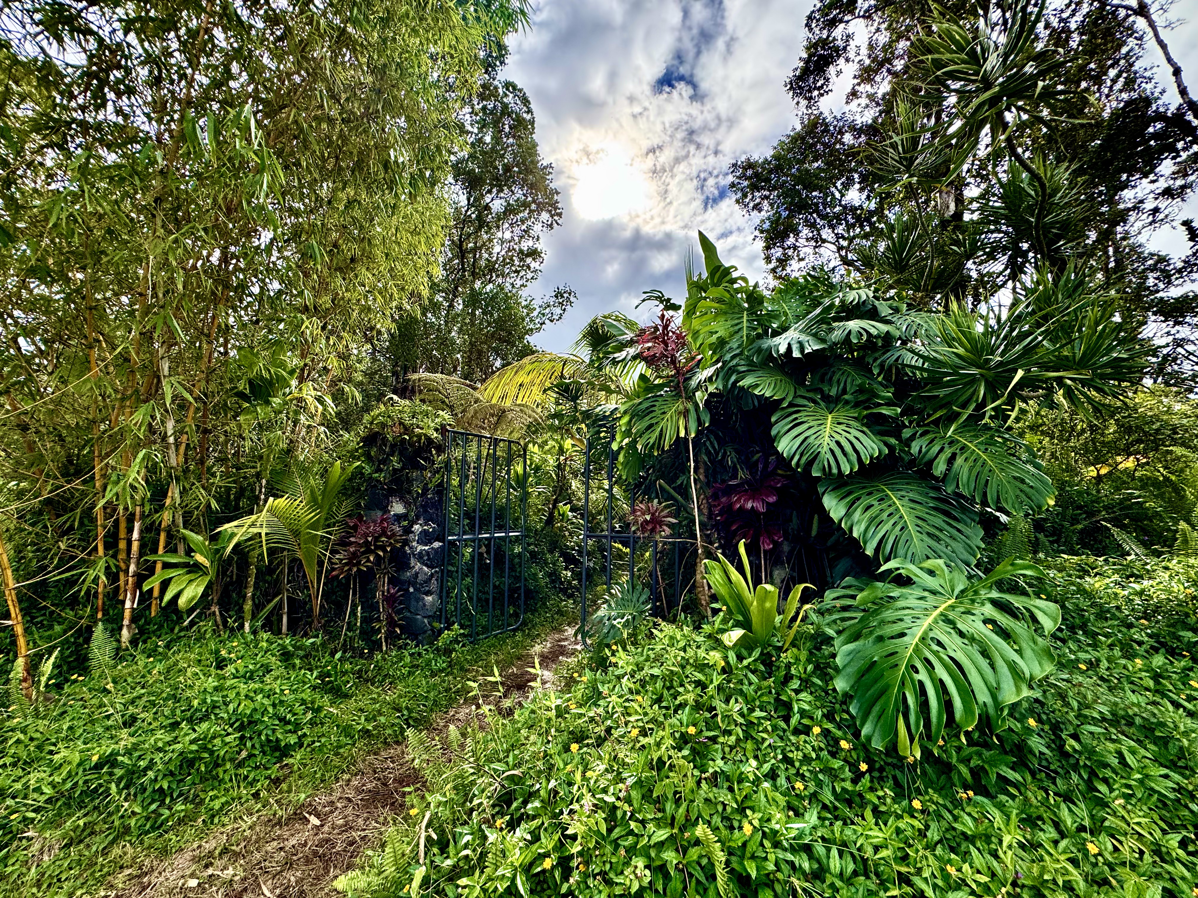 a backyard of a house with lots of green space