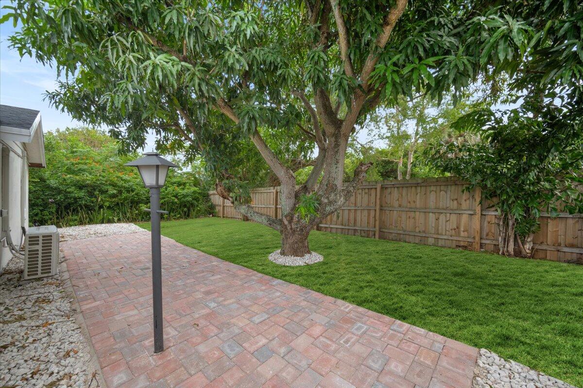 a view of a garden with a tree