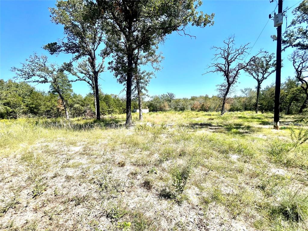 a view of yard with trees