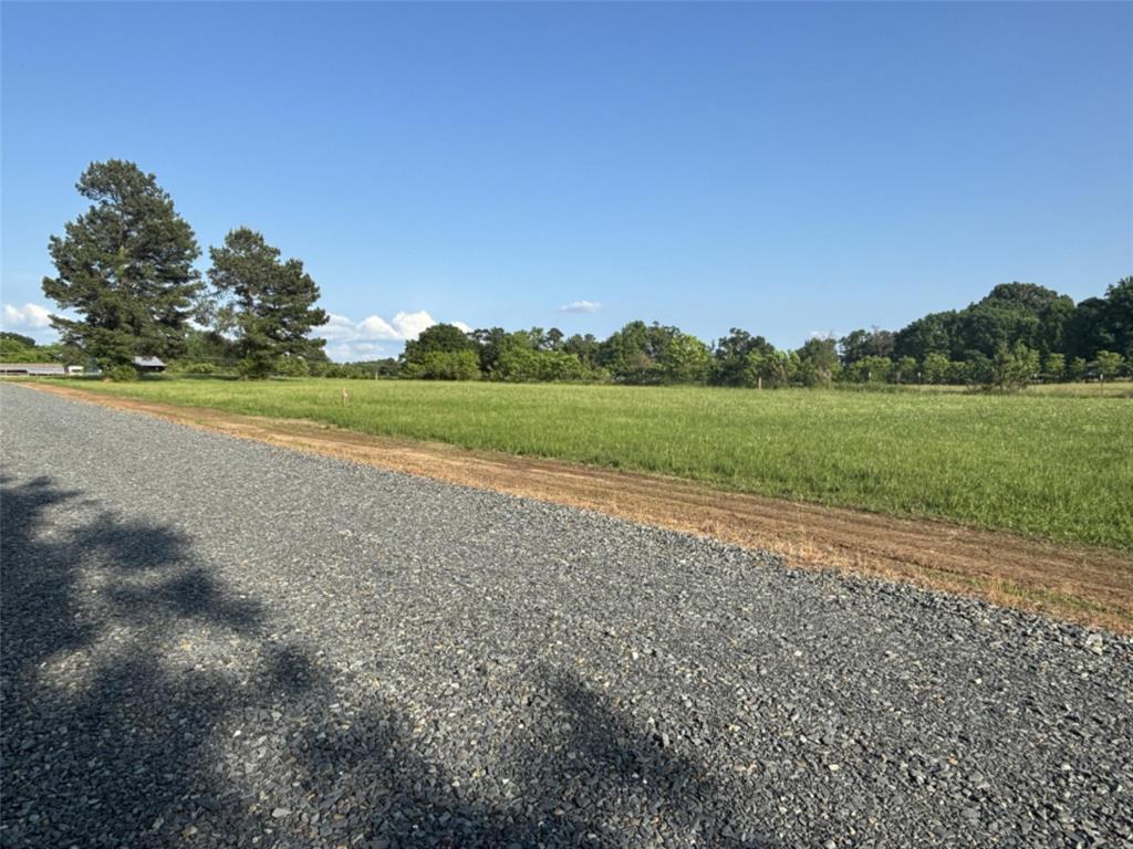 a view of a field with a tree in the background