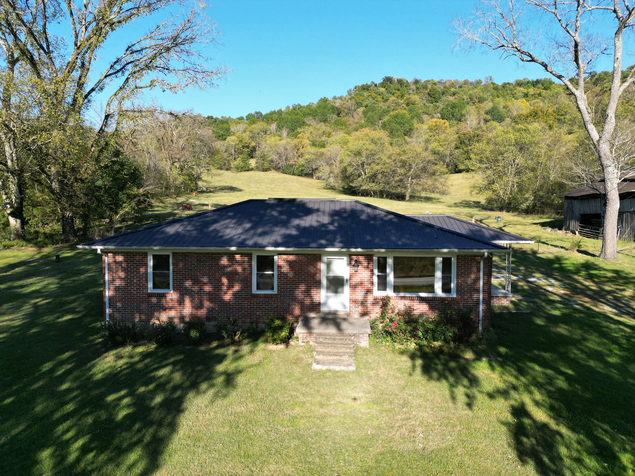 a view of house with a yard