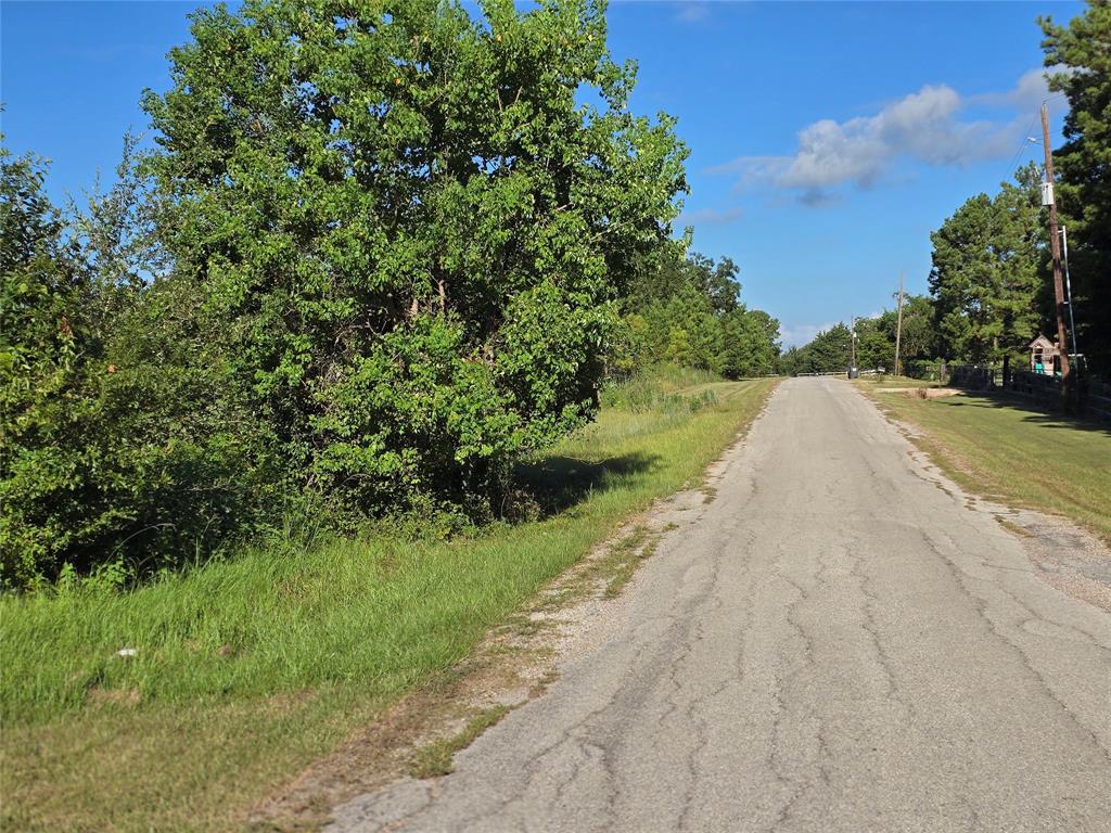 a view of a road with a yard