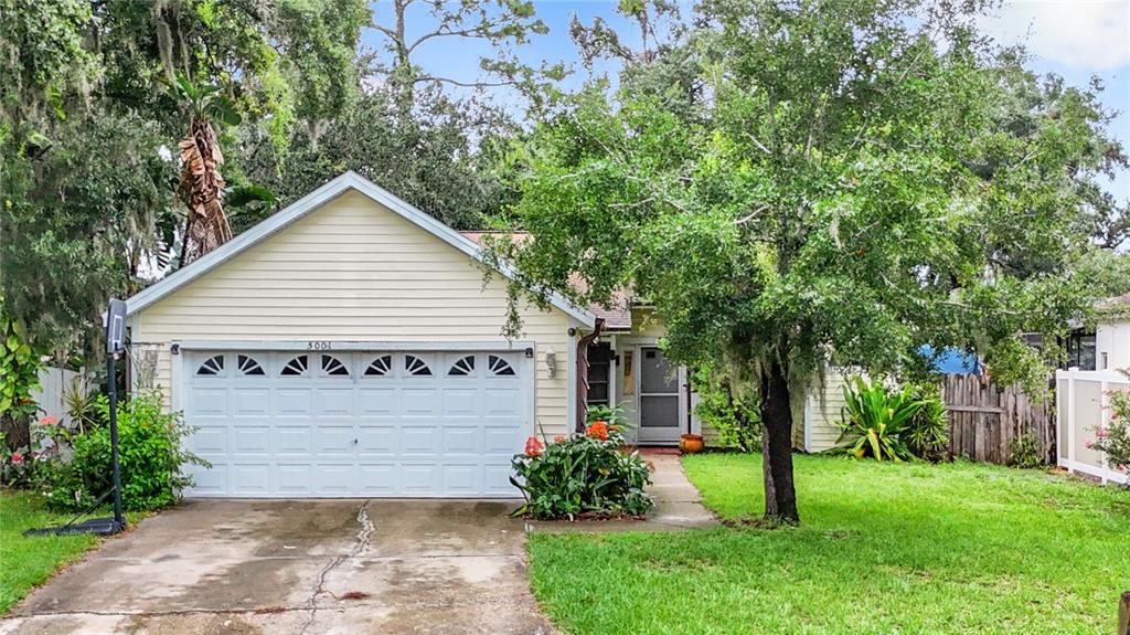 a view of a house with a small yard plants and large tree