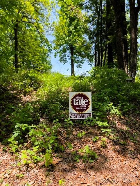 a sign of golf club on a wall under a tree