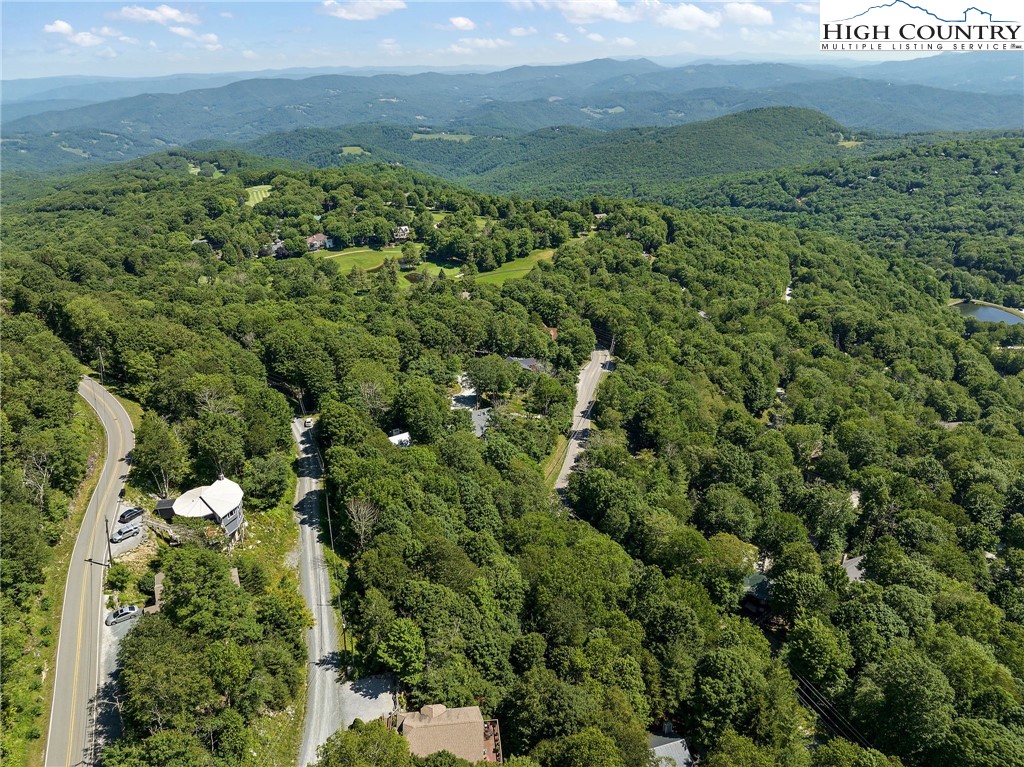 a view of a lush green forest with houses