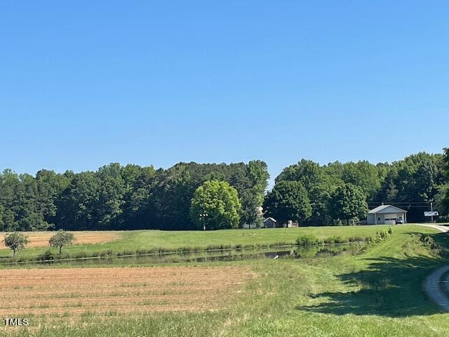 a view of a yard with large trees