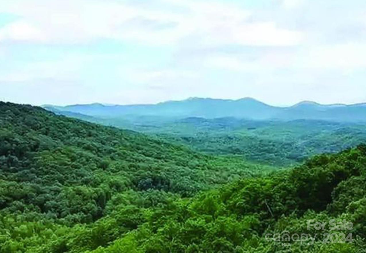 a view of a mountain range with lush green forest