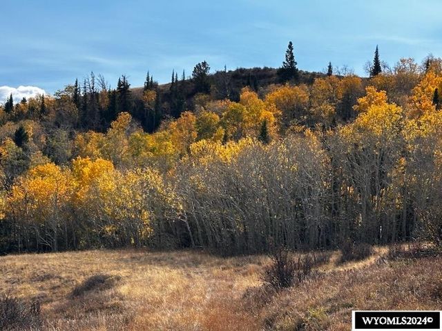 $59,750 | Lot 18 Aspen Highlands Elk Mountain Wy