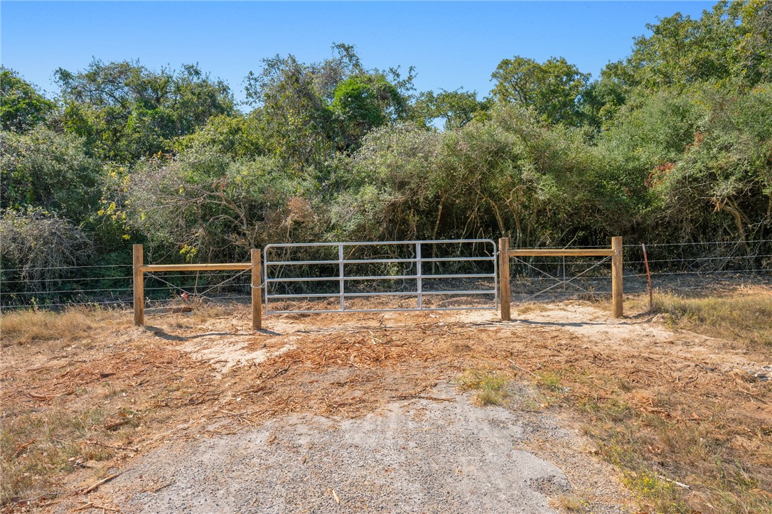 a view of backyard with green space