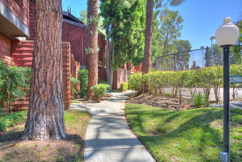 a view of backyard with a garden and plants