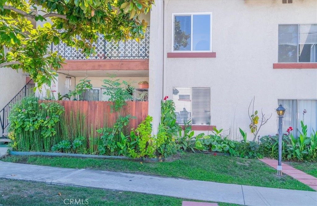 a view of a backyard with plants and a bench