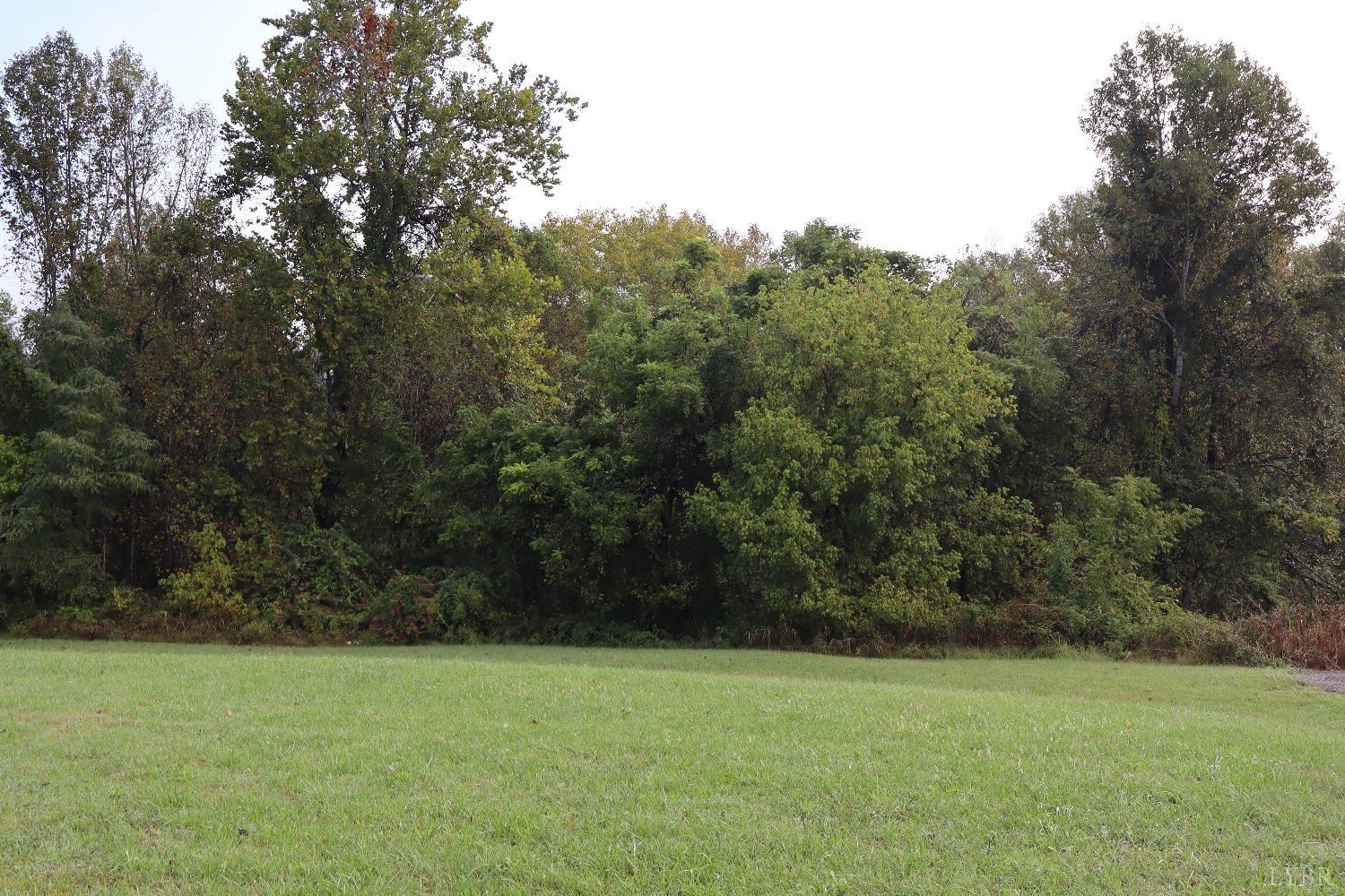 a view of a field with a tree