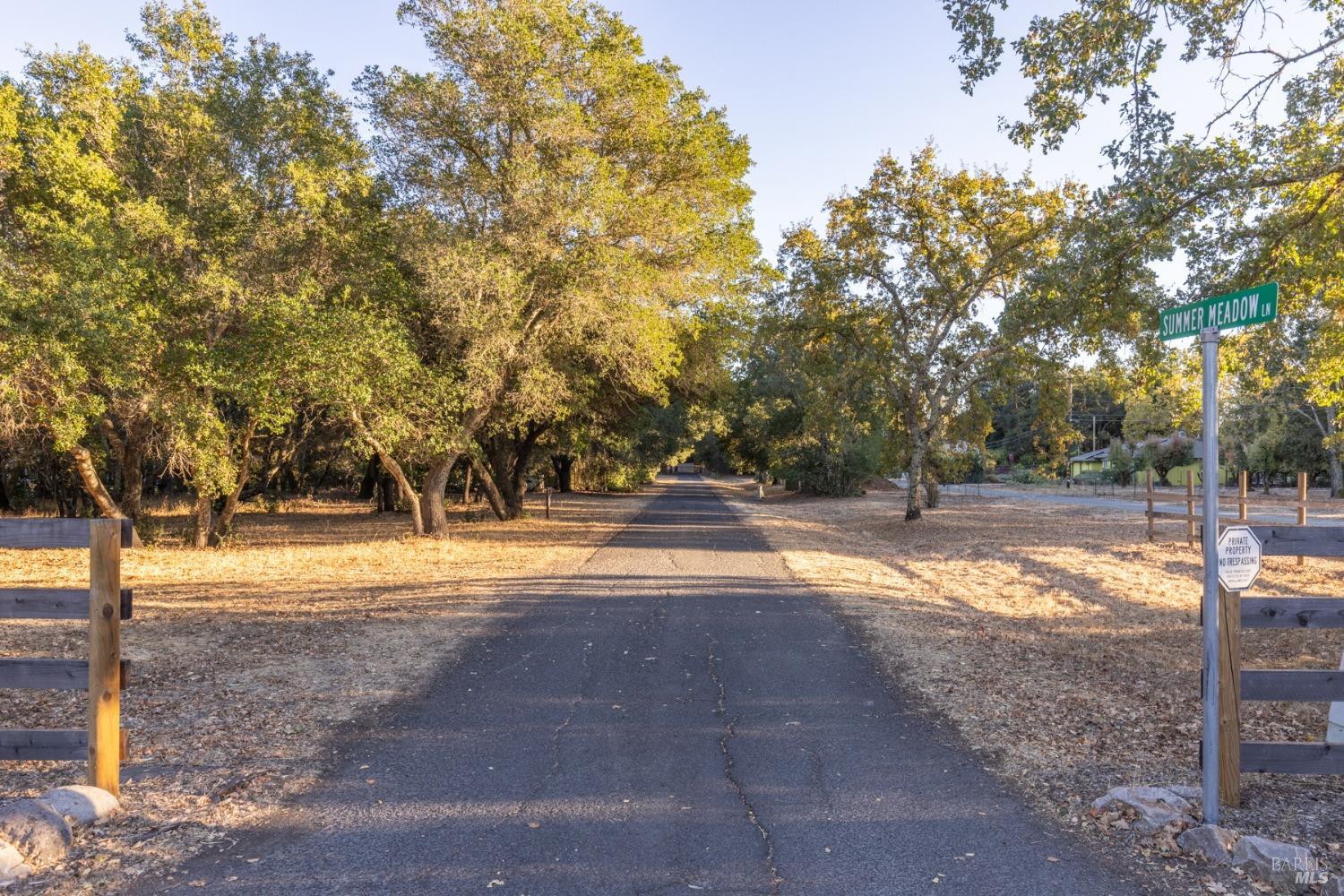 a view of a yard with large trees