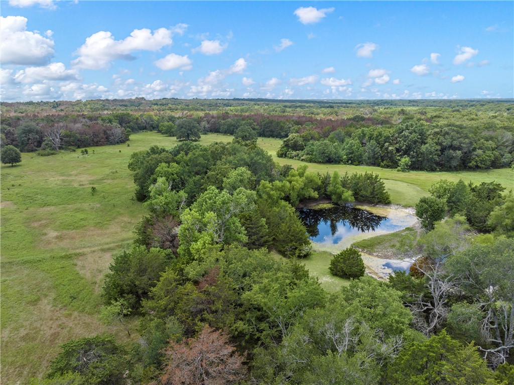 a view of lake with green space