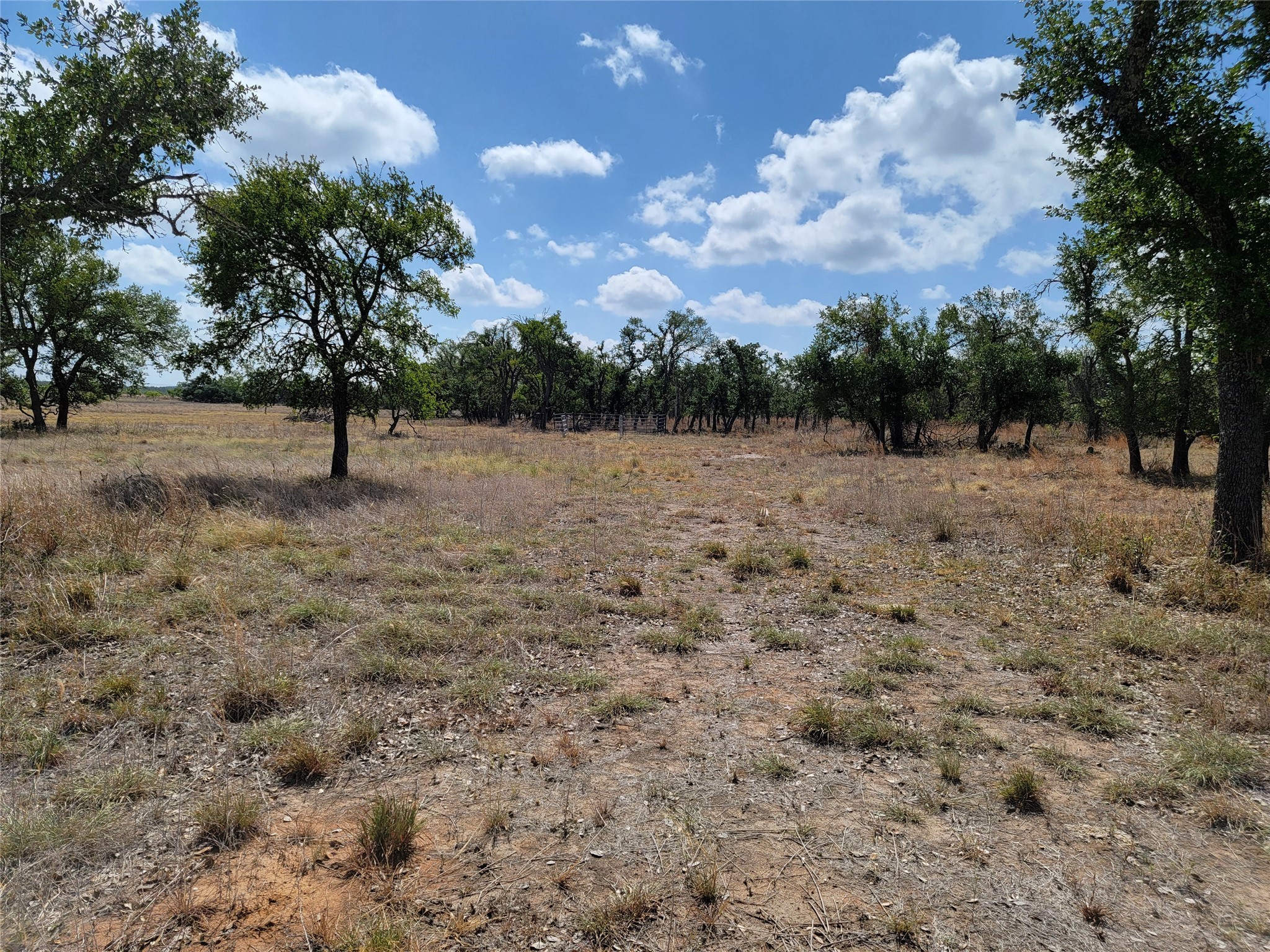 a view of empty field with trees