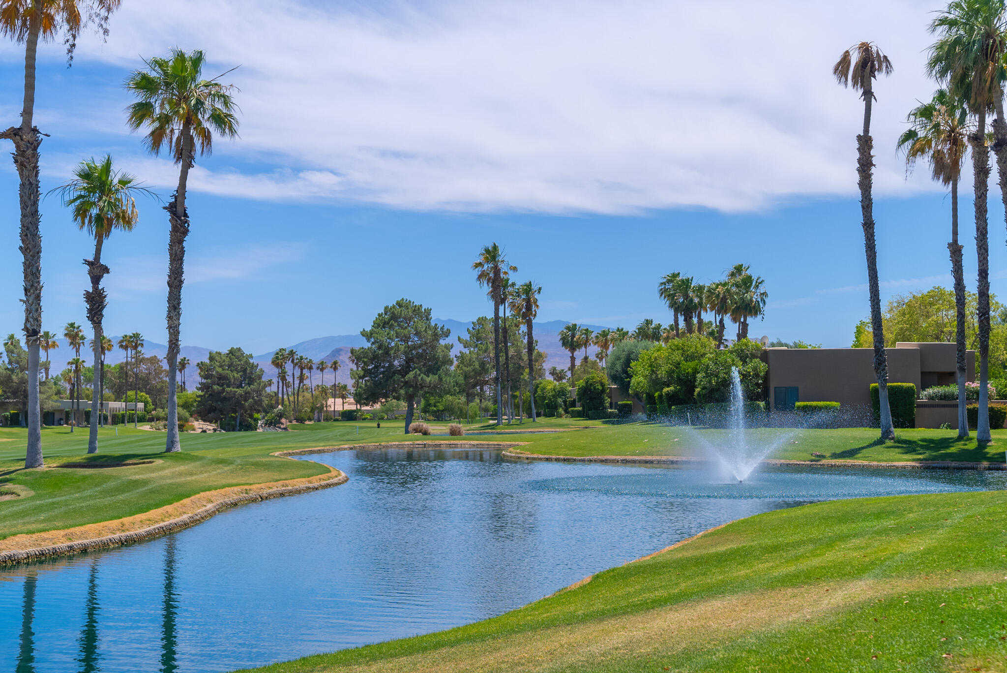 a view of a park with palm trees