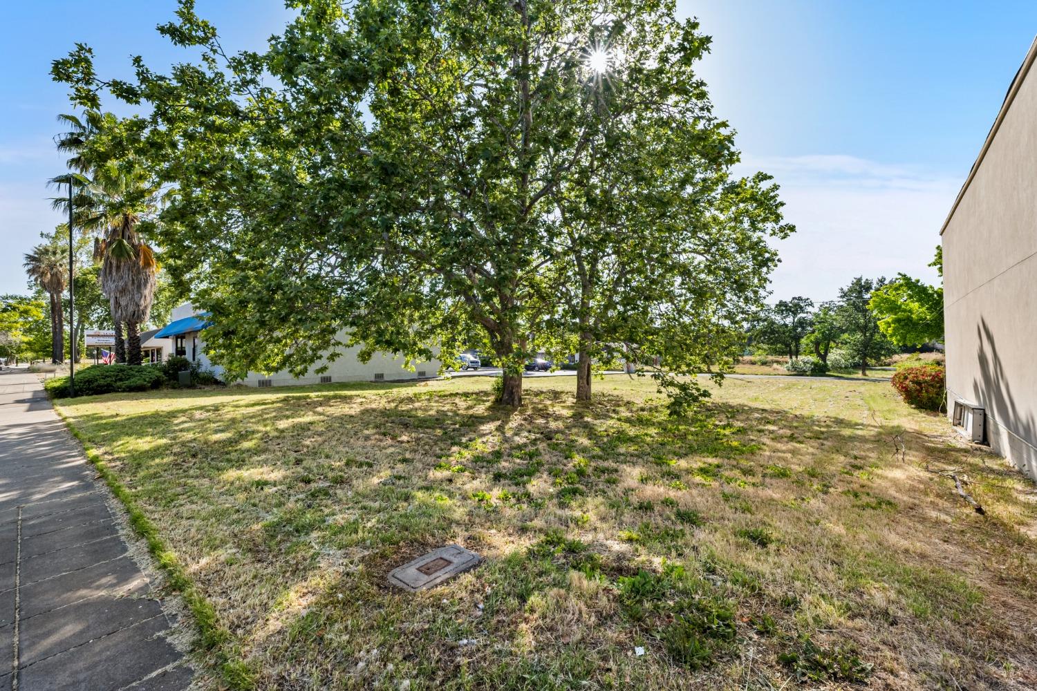 a view of yard with large trees