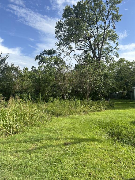 a view of outdoor space and yard