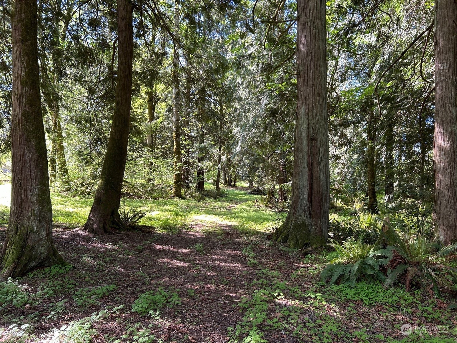 a view of outdoor space and trees