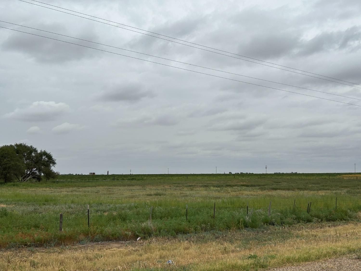 a view of a field with an ocean