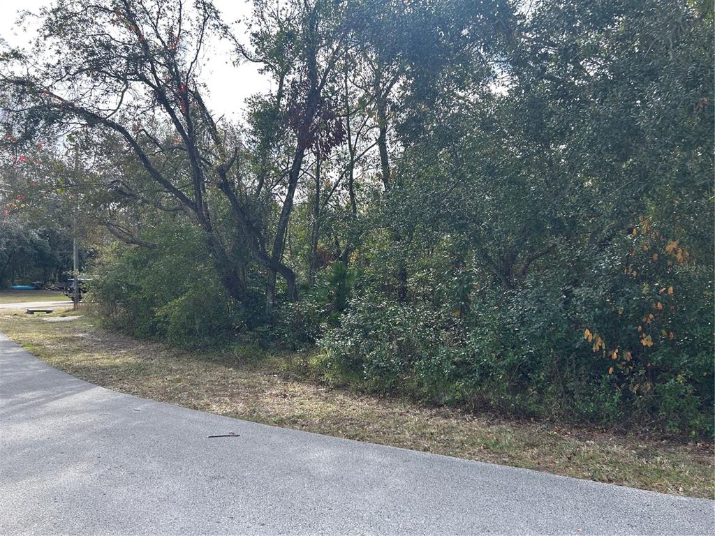 a view of a yard with a trees